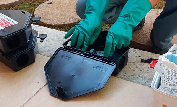 Dedetização com Armadilha em Sorocaba