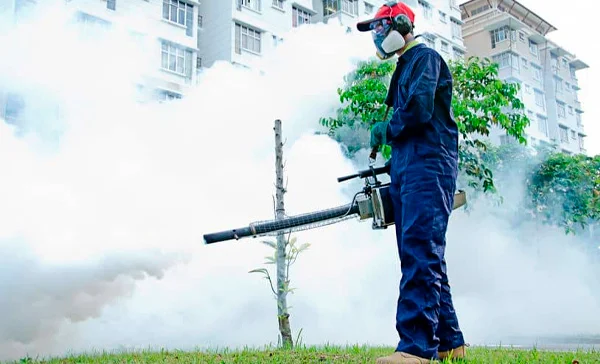 Dedetização com Fumigação em Sorocaba