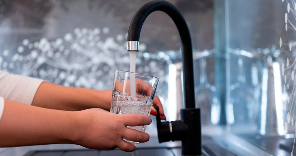 Considerações Finais - Dedetizadora Bio Soluções Considerações Finais - Dedetizadora Bio Soluções