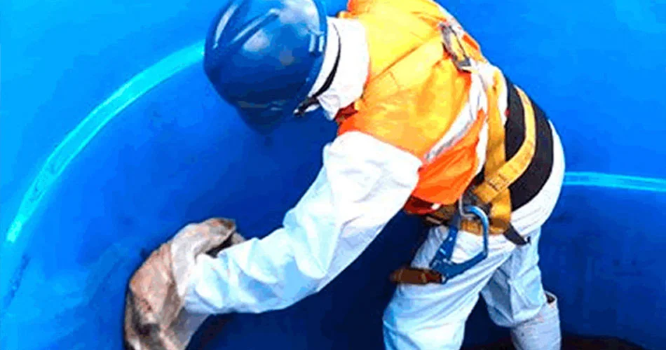 Conclusão - Dedetizadora Bio Soluções Conclusão - Dedetizadora Bio Soluções