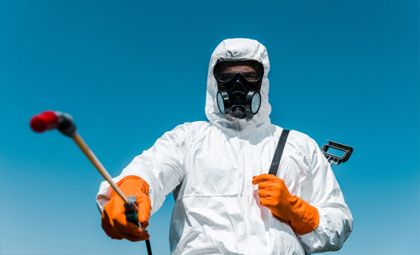 Como funciona o processo de dedetização? - Dedetizadora Combate Ambiental Como funciona o processo de dedetização? - Dedetizadora Combate Ambiental