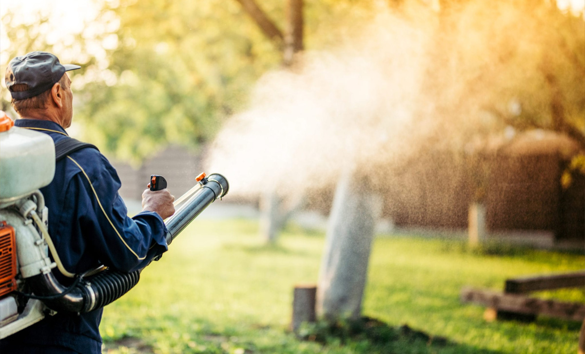 Como funciona o processo de dedetização? - Dedetizadora Combate Ambiental Como funciona o processo de dedetização? - Dedetizadora Combate Ambiental