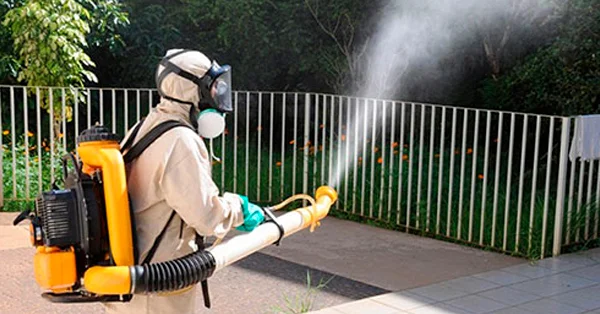 FAQs sobre Dedetização de Mosquito em Porto Feliz - Dedetizadora Combate Ambiental FAQs sobre Dedetização de Mosquito em Porto Feliz - Dedetizadora Combate Ambiental