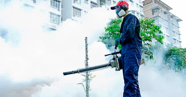 Estudo de Caso: Dedetização no Jardim São Paulo - Dedetizadora Combate Ambiental Estudo de Caso: Dedetização no Jardim São Paulo - Dedetizadora Combate Ambiental