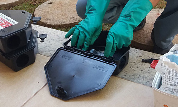 Tipos de Serviços de Desratização Disponíveis - Dedetizadora Combate Ambiental Tipos de Serviços de Desratização Disponíveis - Dedetizadora Combate Ambiental